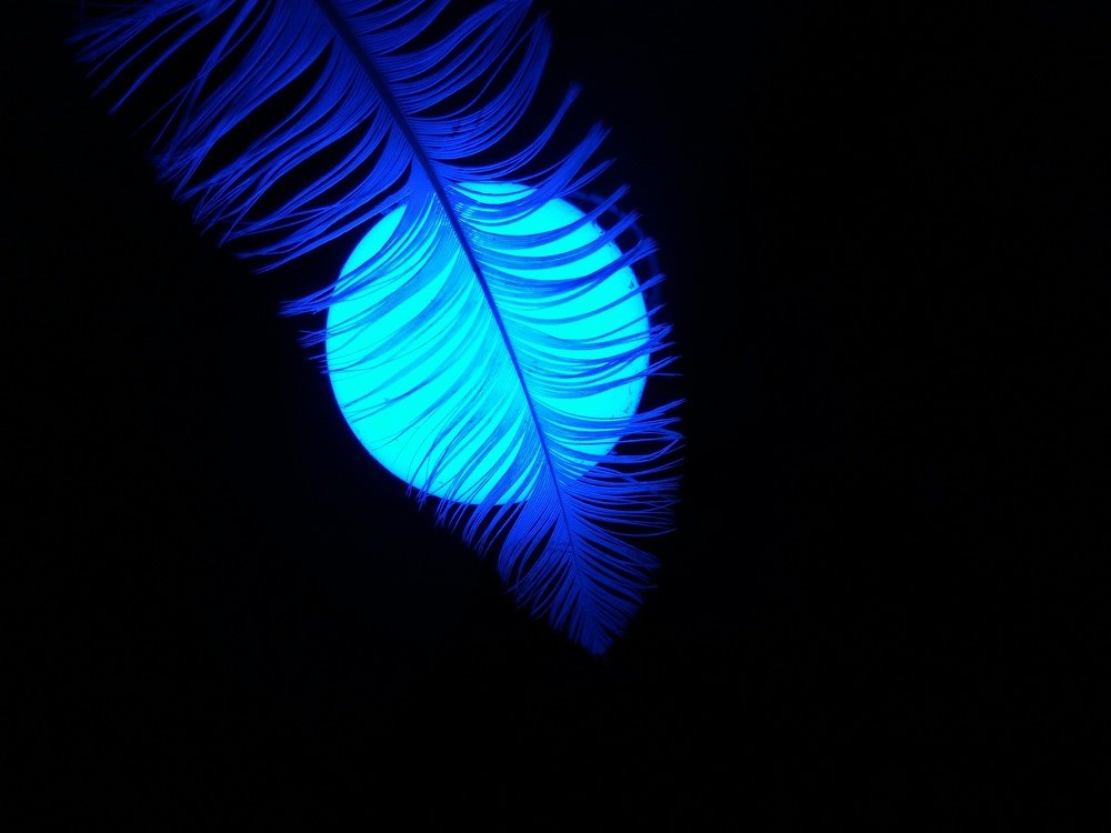 Photograph by Kanishka Kumar