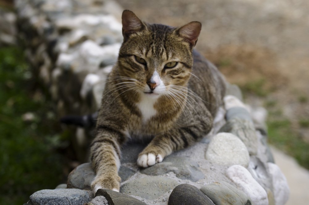 Photograph by Андрей Малыгин