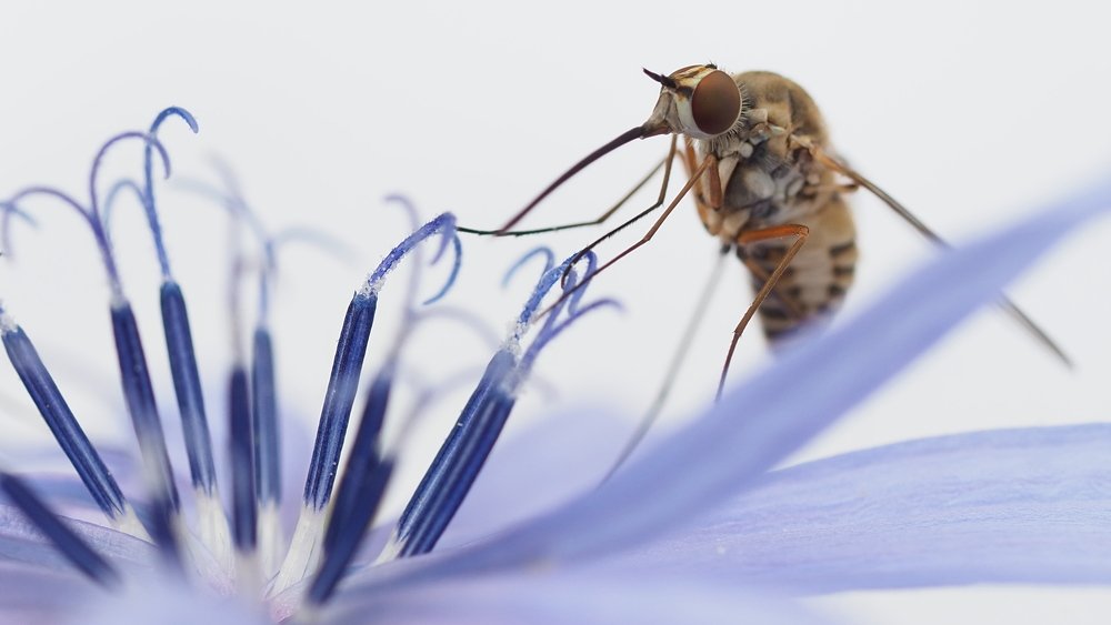 Photograph by Argiros Thanasis