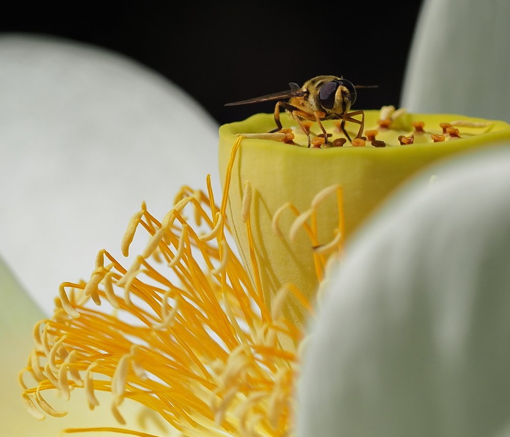 Photograph by Argiros Thanasis