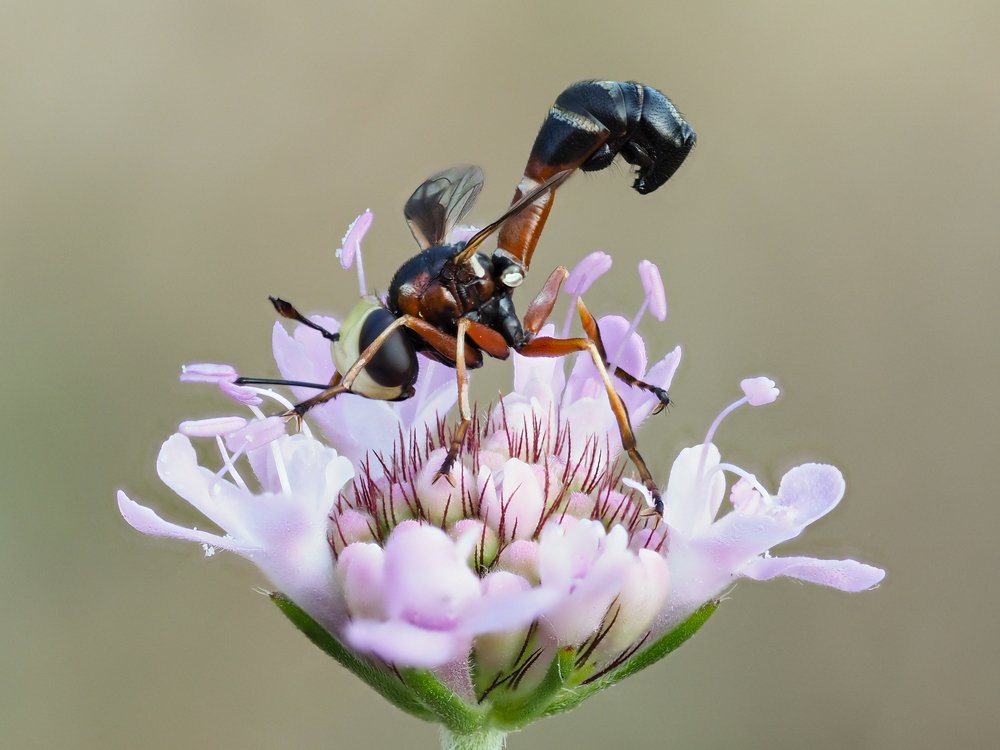 Photograph by Argiros Thanasis