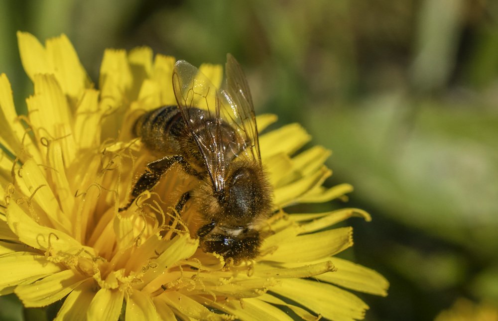 Photograph by Олег