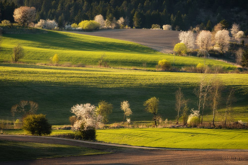 Photograph by Martin Šúrik