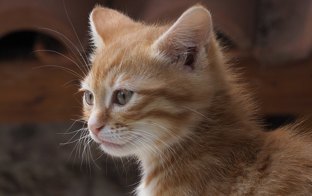 Photograph by Argiros Thanasis