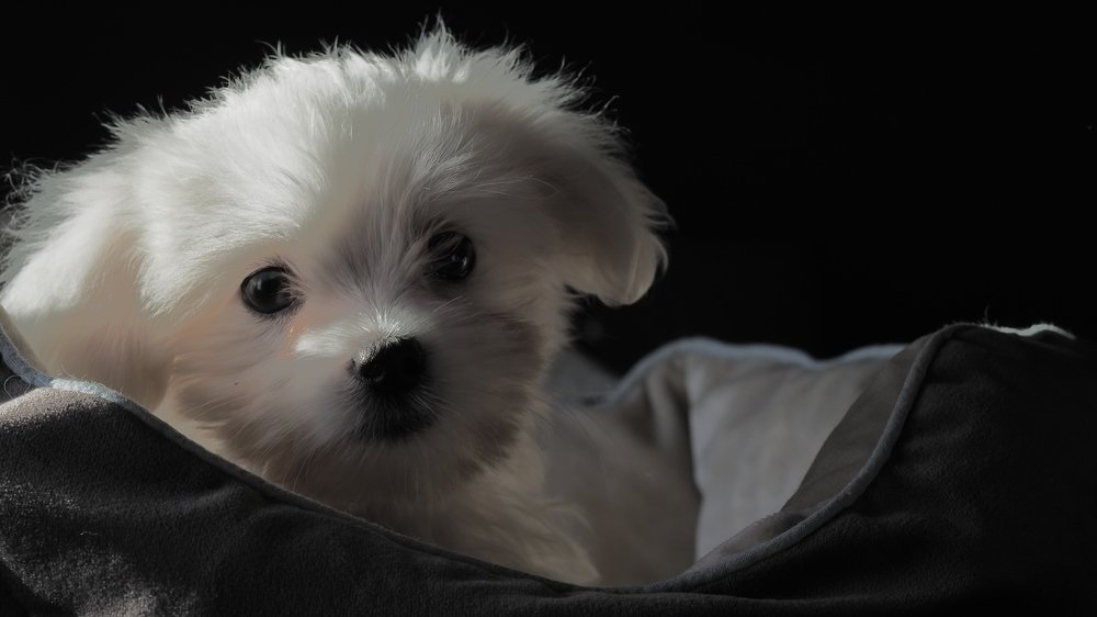 Photograph by Argiros Thanasis