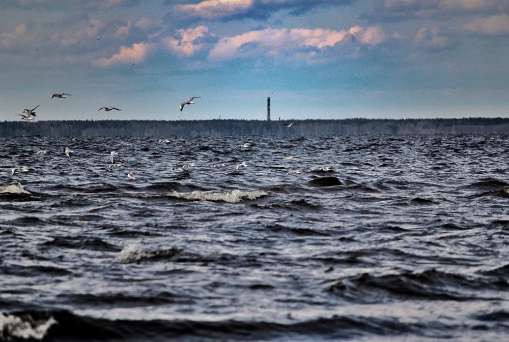 Photograph by Нина Никонорова