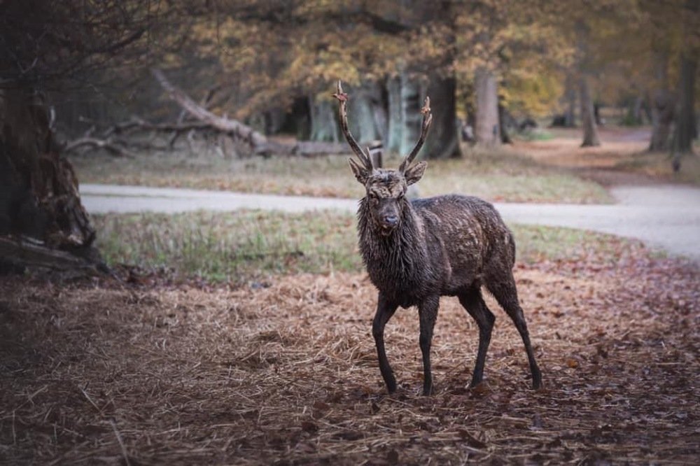 Photograph by Константин Костин