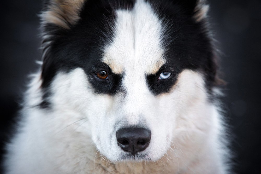 Photograph by Слепцов Василий