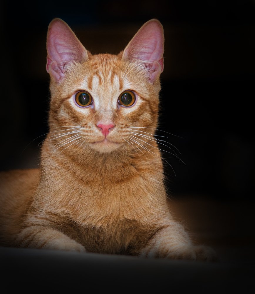 Photograph by Грязев Сергей