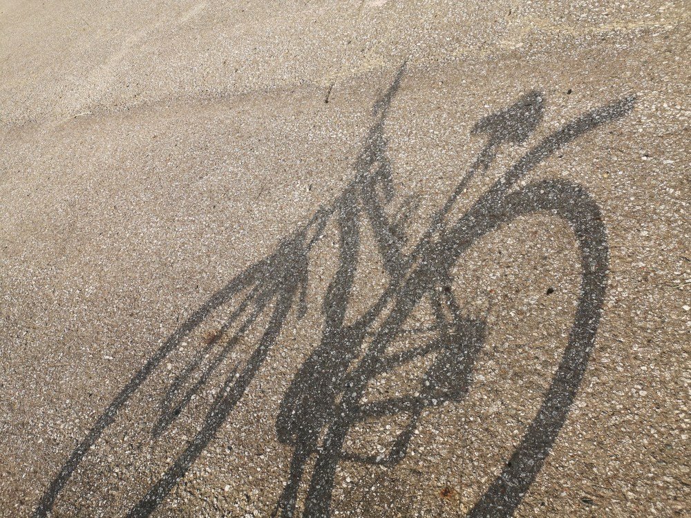 Photograph by Ирина Алексеевская