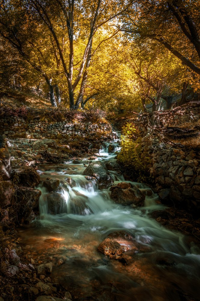 Photograph by Edris Khosravizadeh