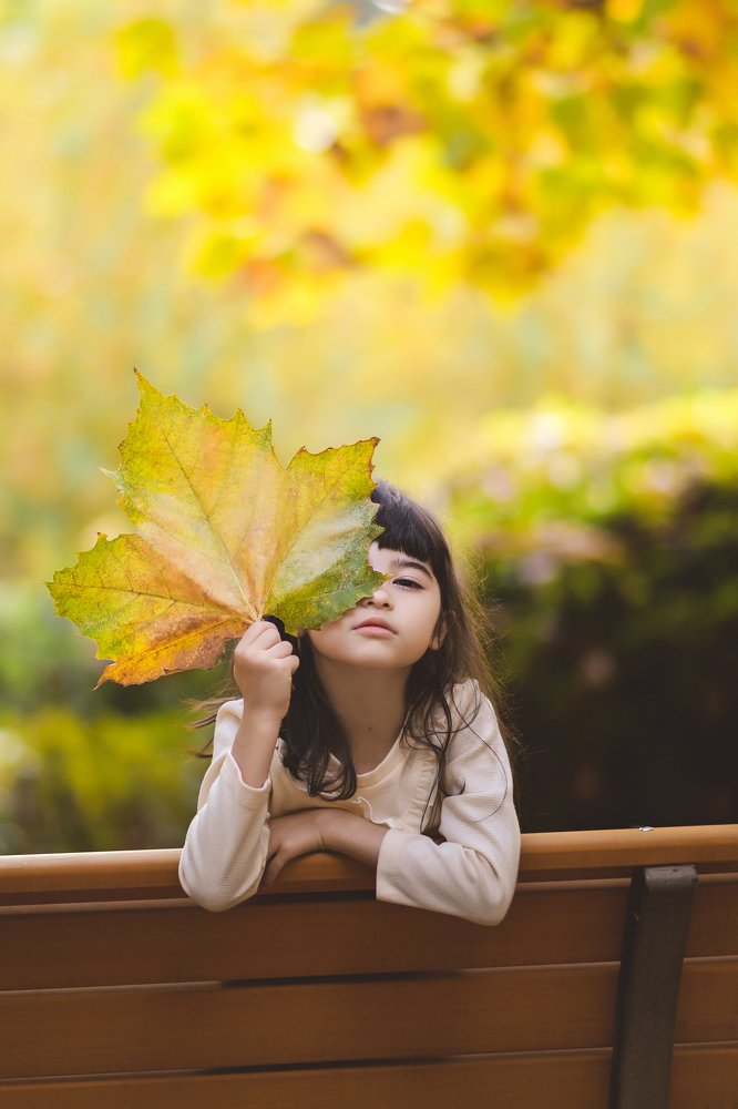 Golden Autumn in Tokyo