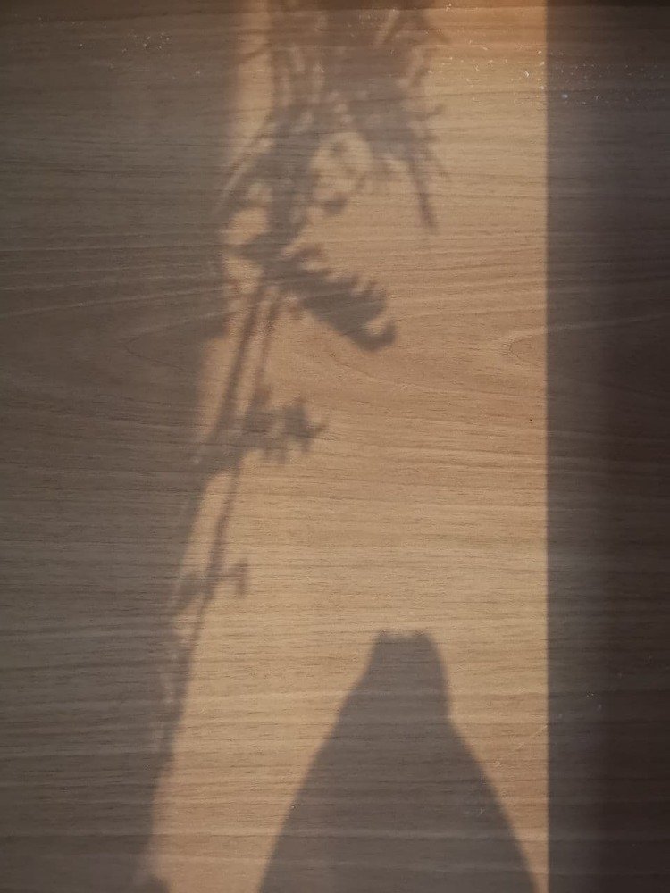 Photograph by Степан Сопегин