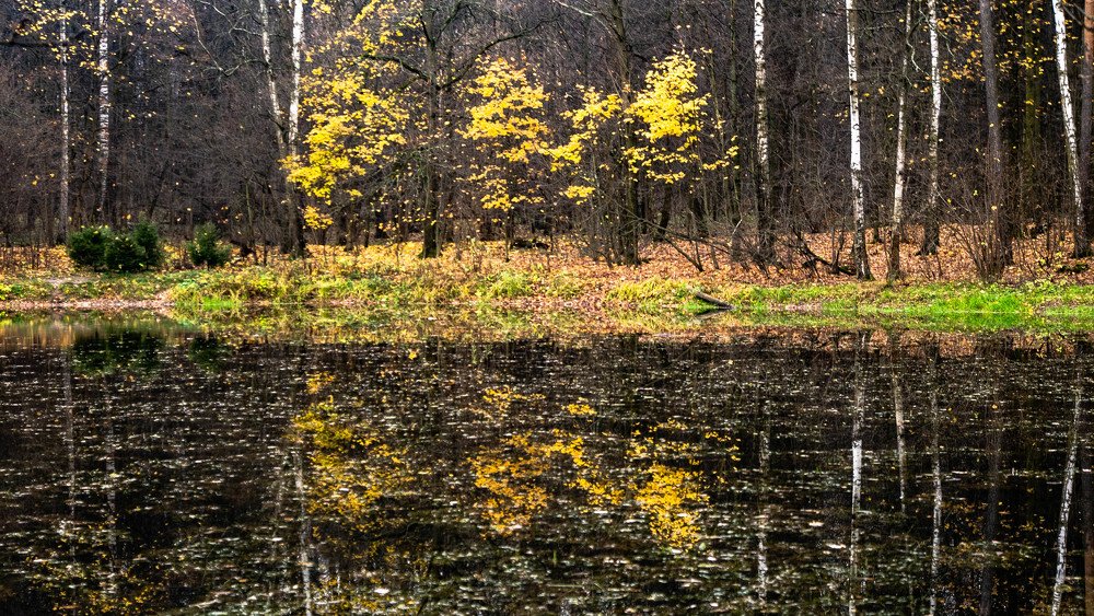 Photograph by Алексей Сень