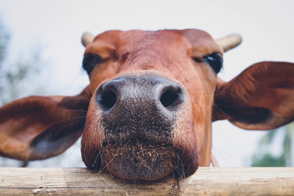 Photograph by Мария Половинкина