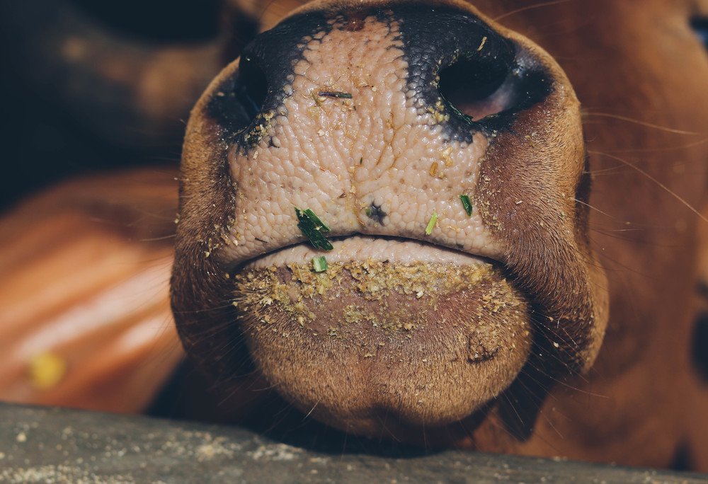 Photograph by Мария Половинкина