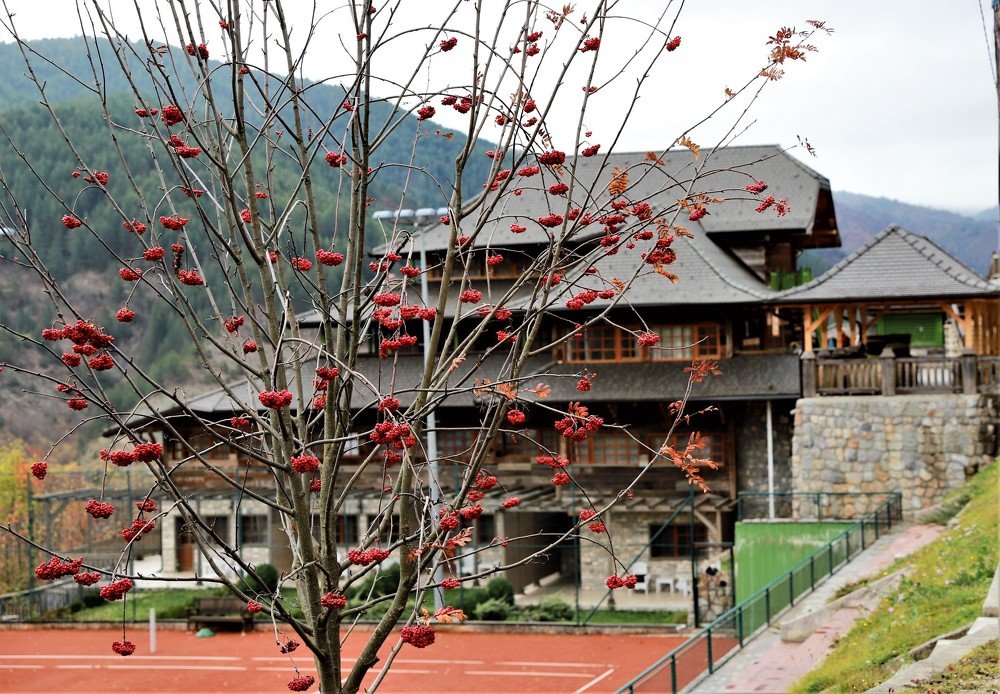 Photograph by Nella Libenzon