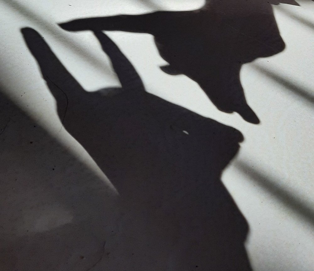 Photograph by Susmita Paul