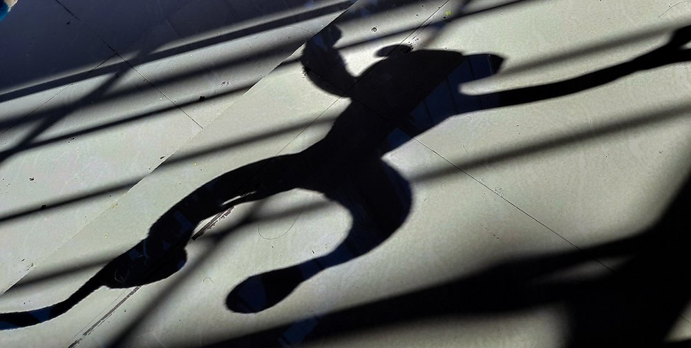 Photograph by Susmita Paul