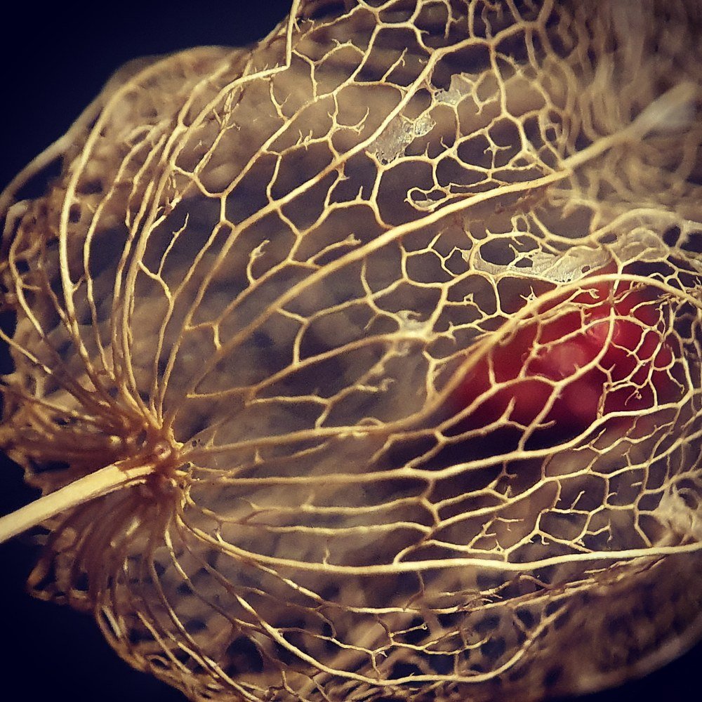 Фотография автора Юлия Таран