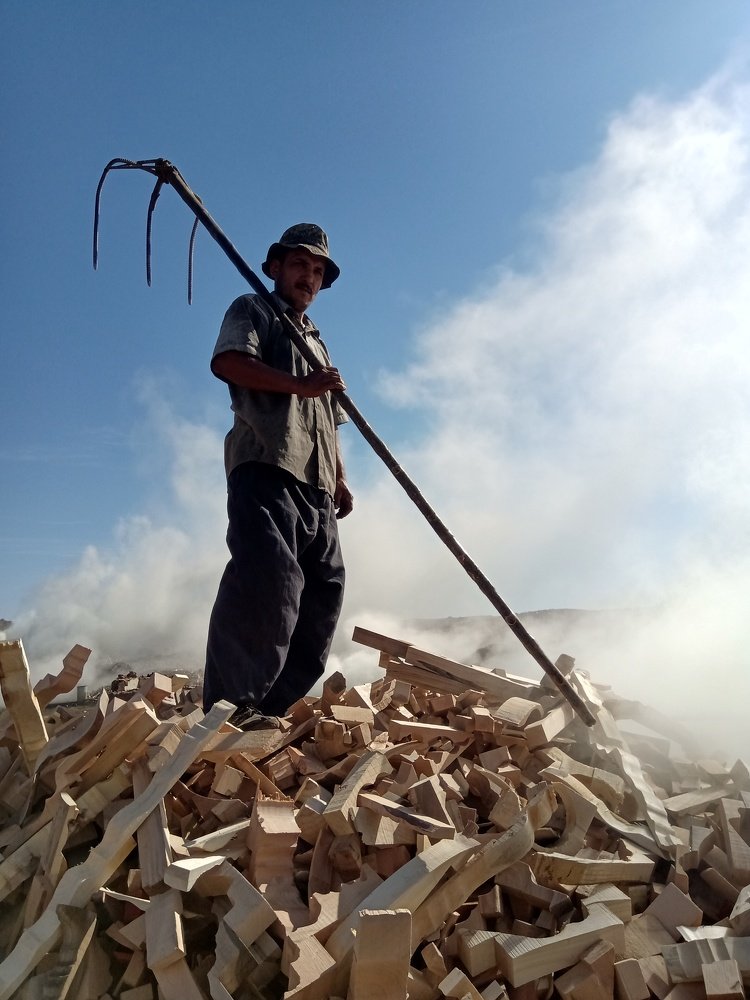 Photograph by Amir Masoud Arabshahi