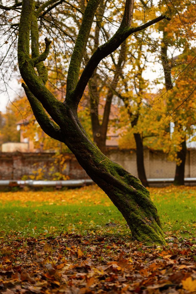 Photograph by Павел Юнусов