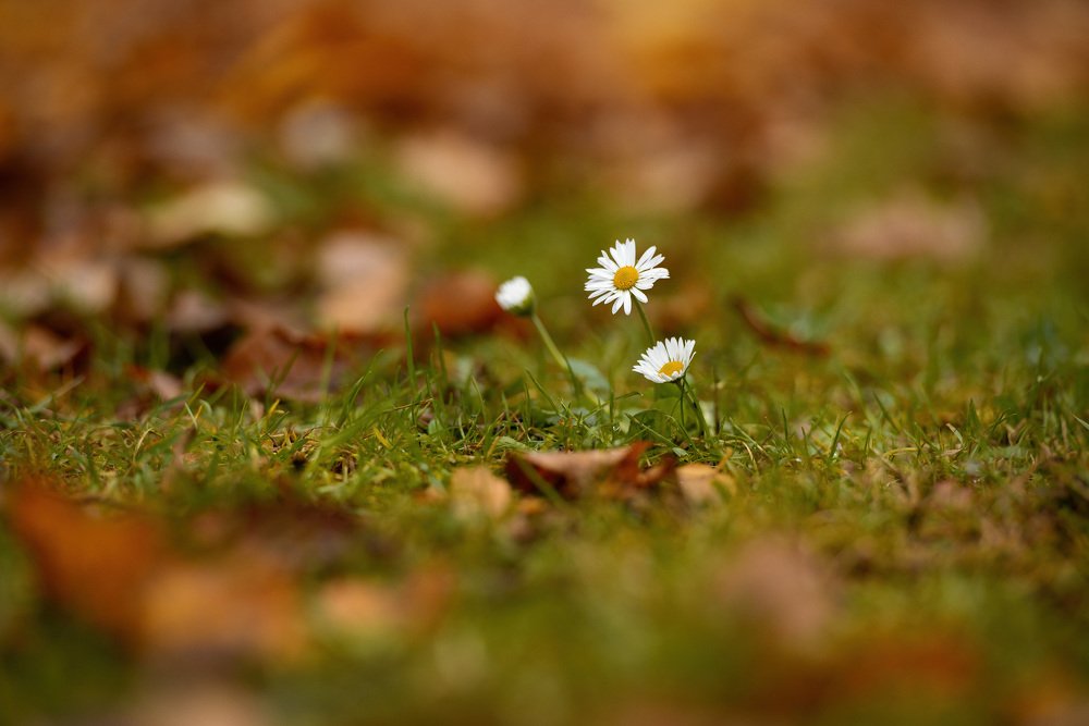 Photograph by Павел Юнусов