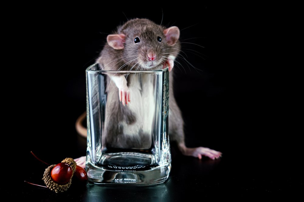 Photograph by Полякова Наталия Григорьевна