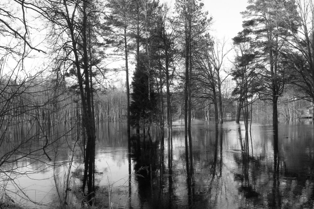 Photograph by Viktors Giršsons