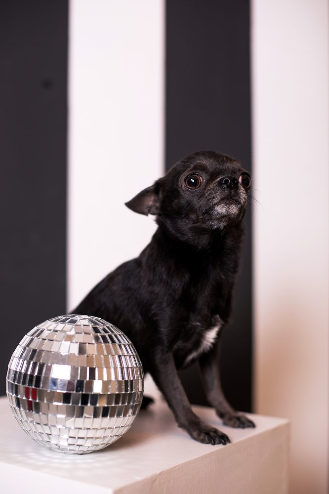 Photograph by Татьяна Гузева