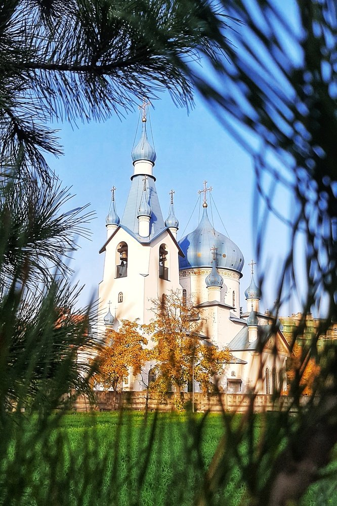 The church