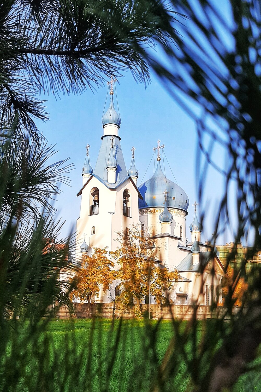 The church
