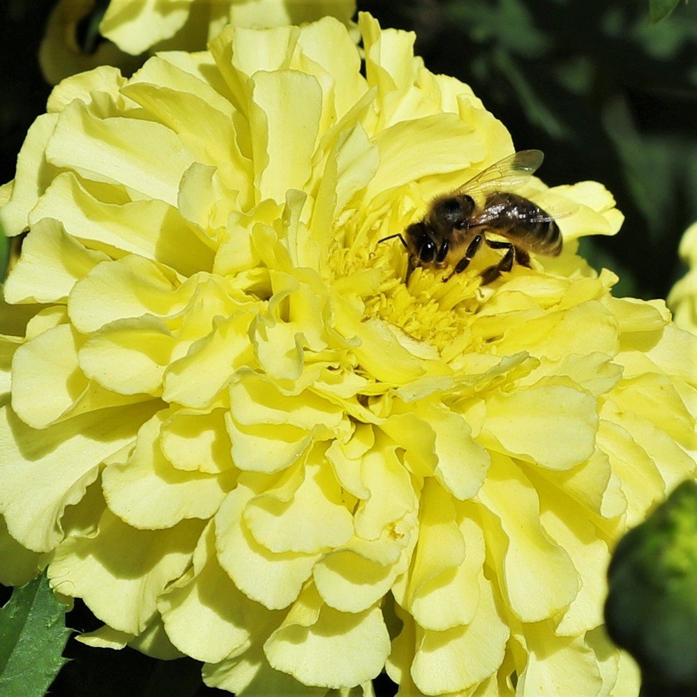 Photograph by Андрей Телибаев