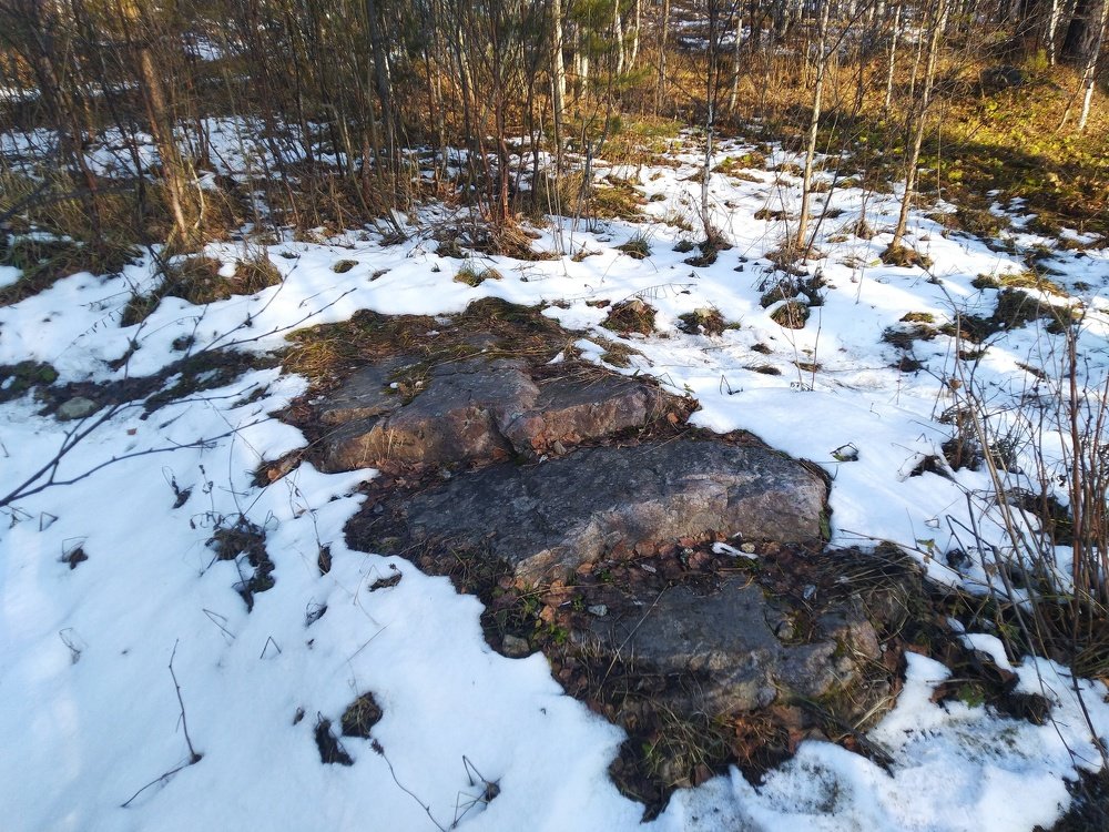 Ступеньки природы