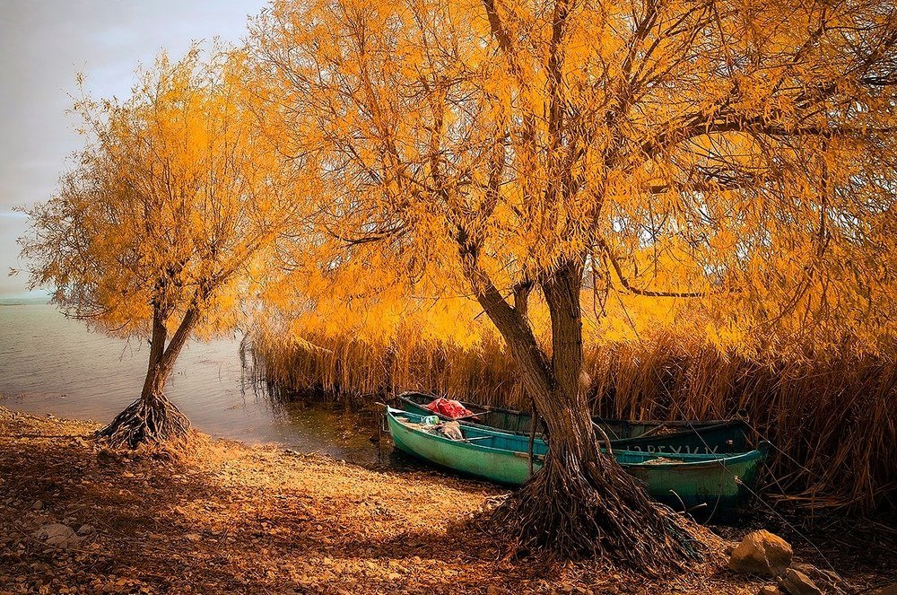Photograph by Ramazan Yıldırım