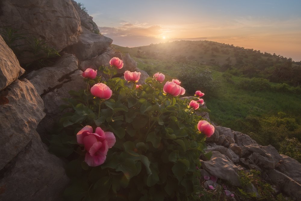 Photograph by Алексей Агеев