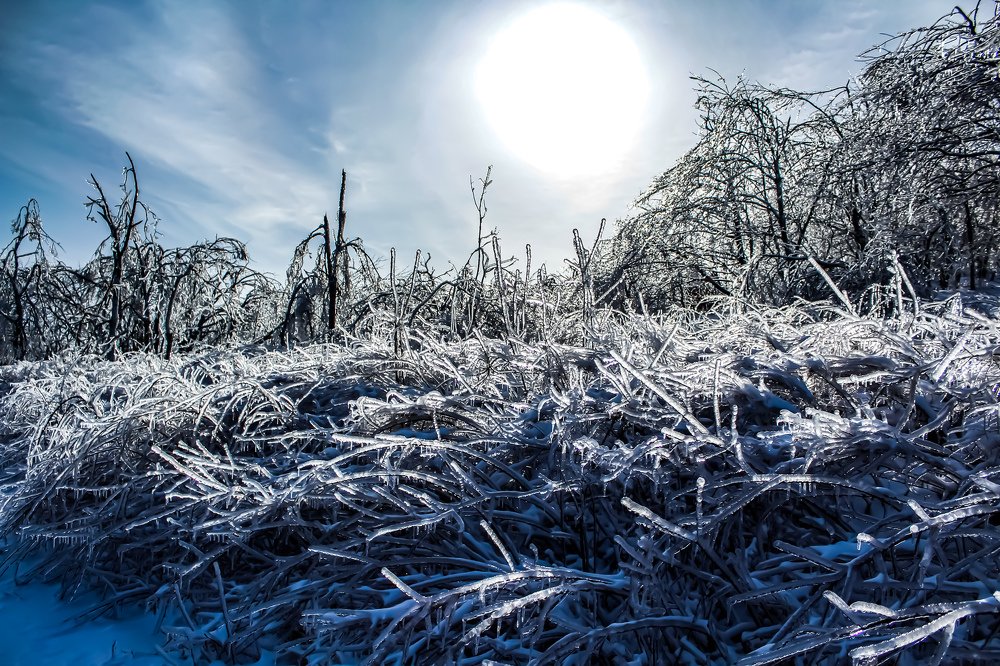 Photograph by Антон Борисов