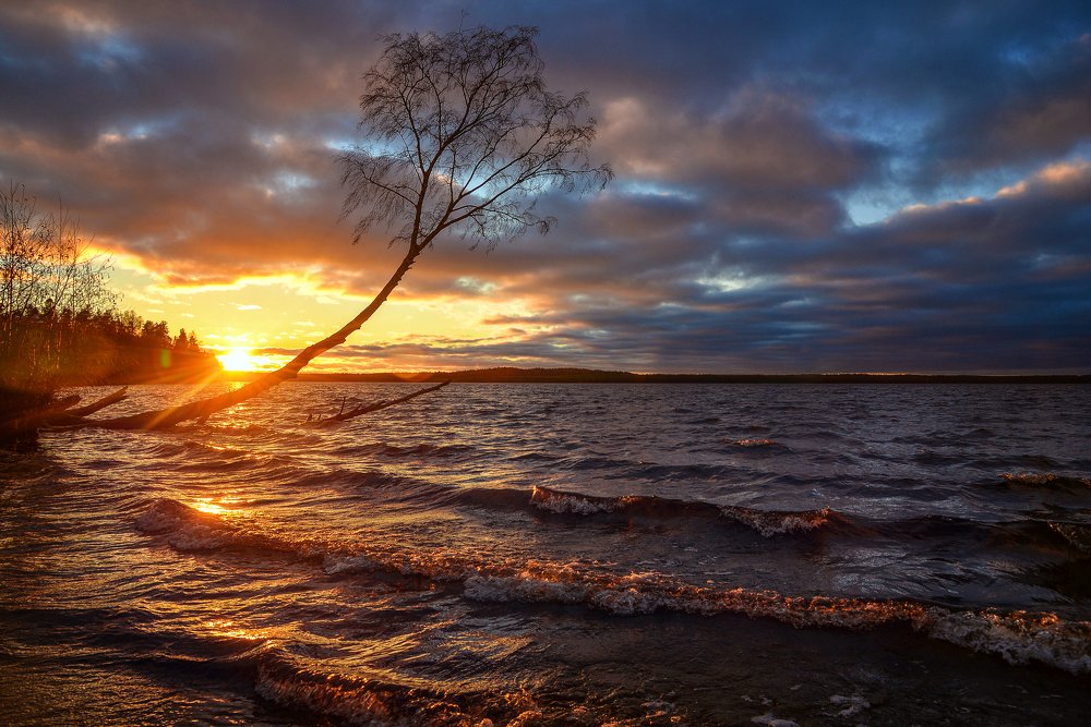 Photograph by Румянцев Алексей