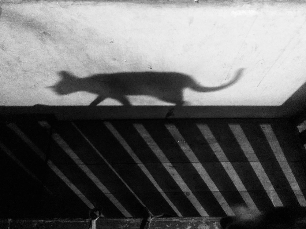 Photograph by devan devaraj