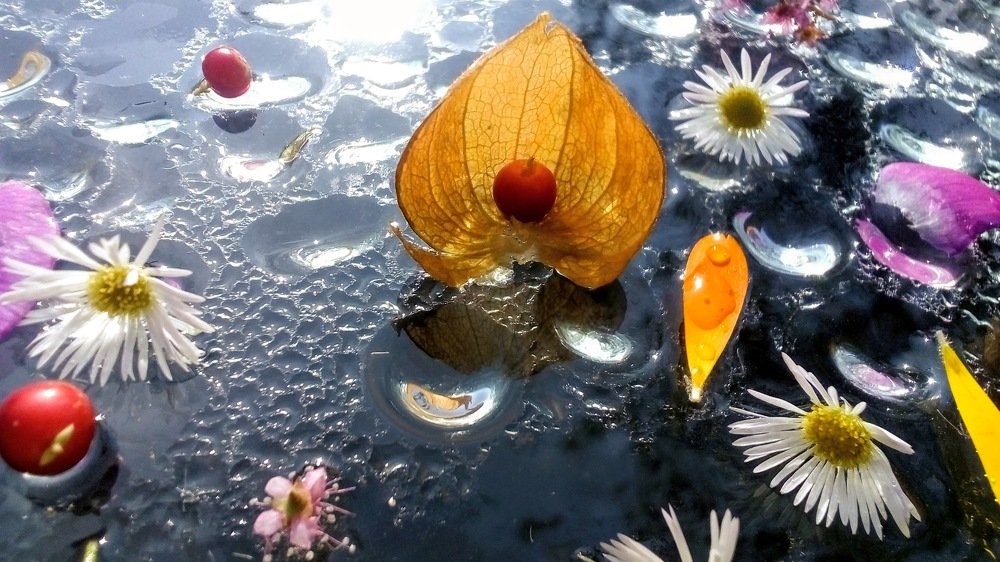 Photograph by Shamil Mavlekeev