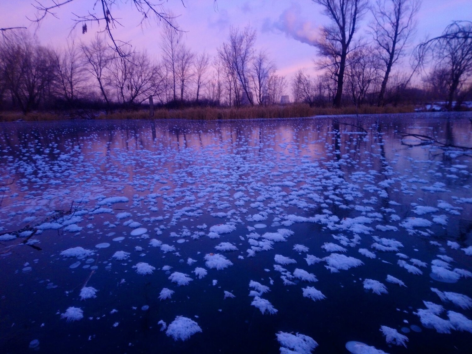 Photo #5271252