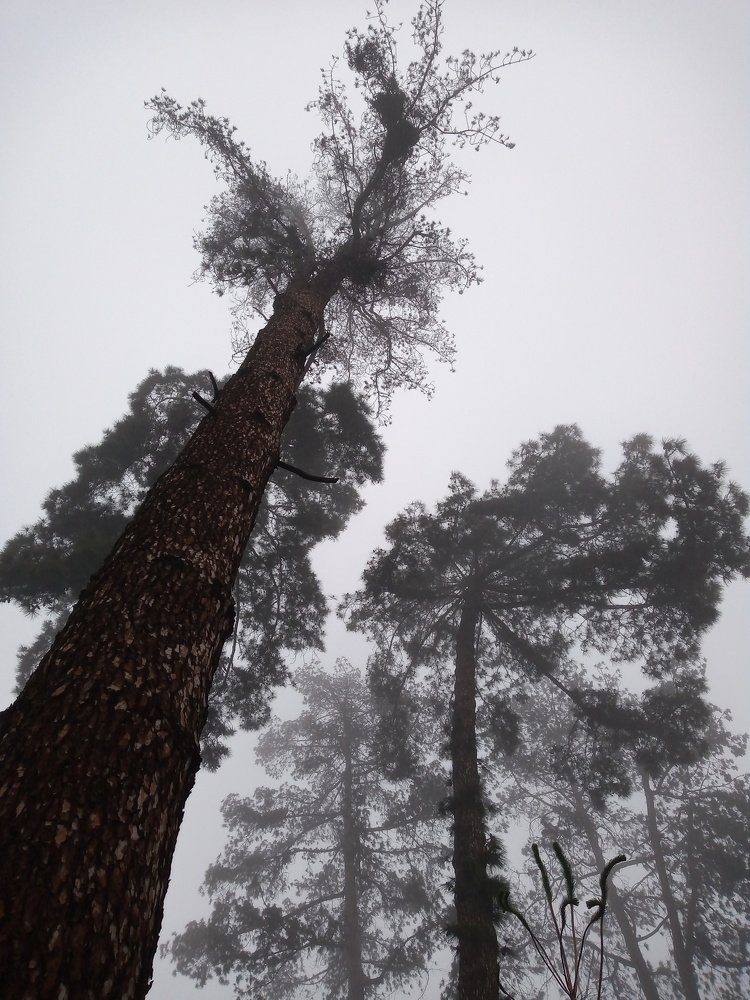 Photo #5271339