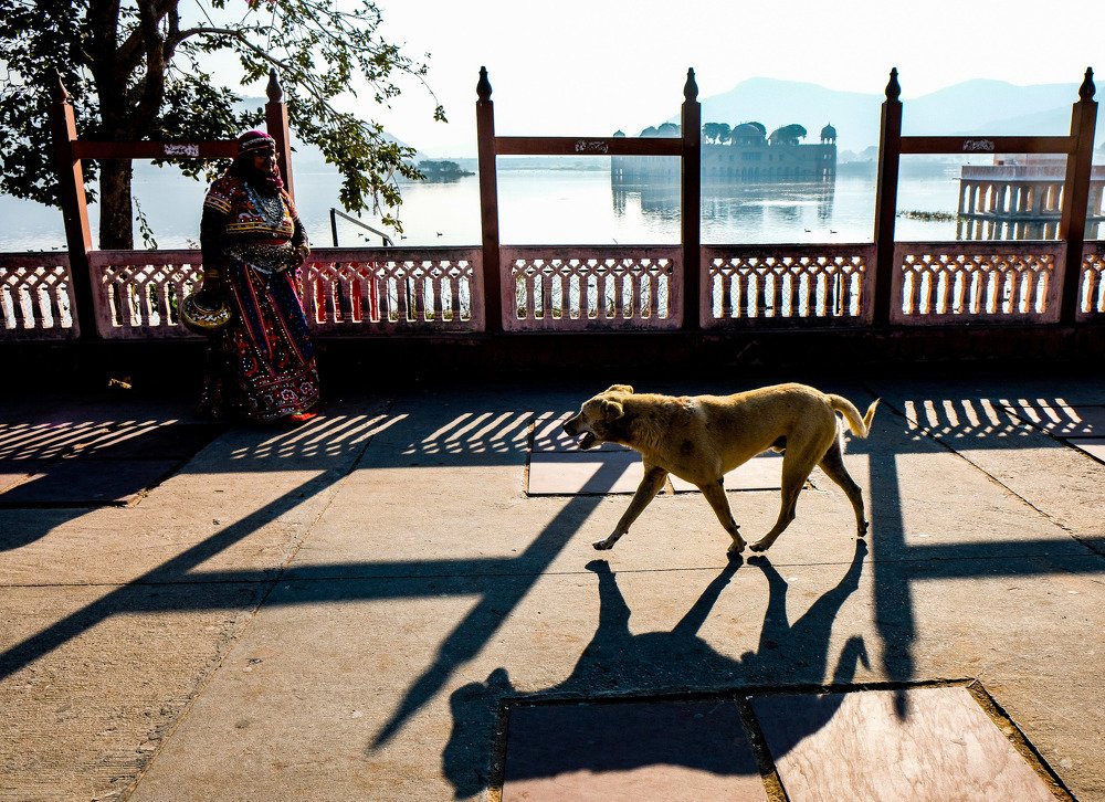 Photograph by Prokrety Prokrety