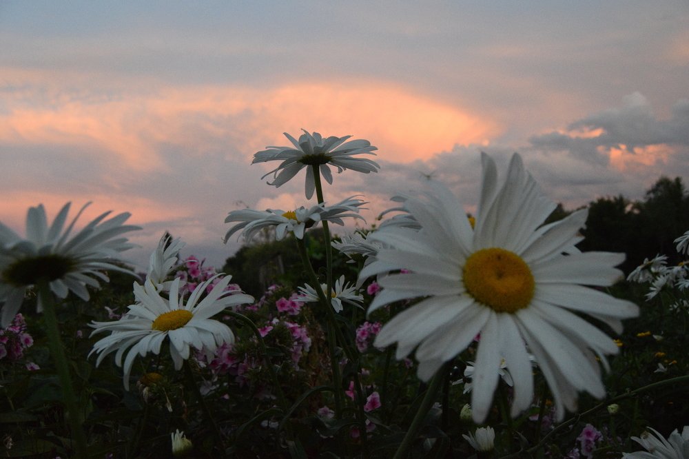 Photograph by Svetlana Korogod