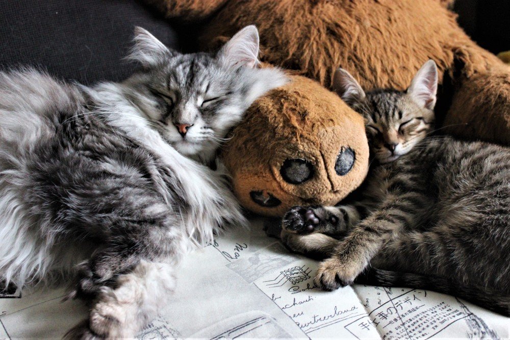 Photograph by Юлия Невзорова