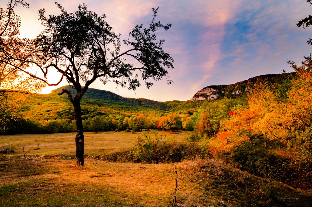 Photograph by Сергей Евдокимов