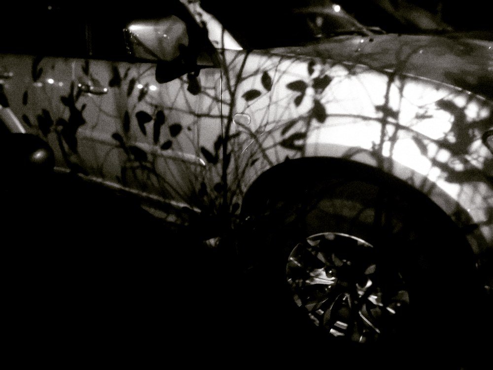 Photograph by Ольга Темкина