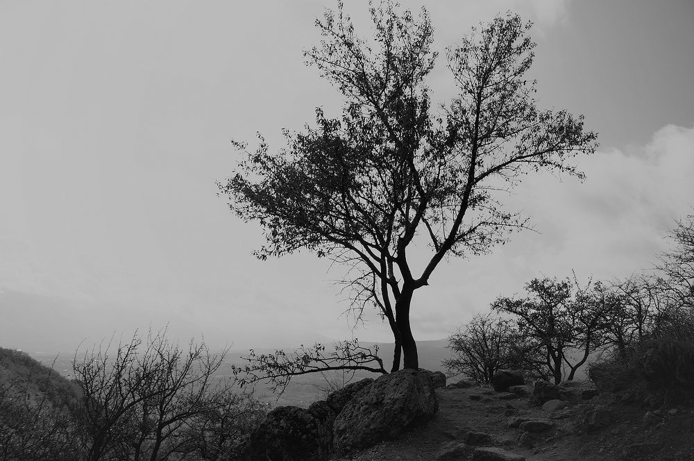 Photograph by Dmitry Borisenko