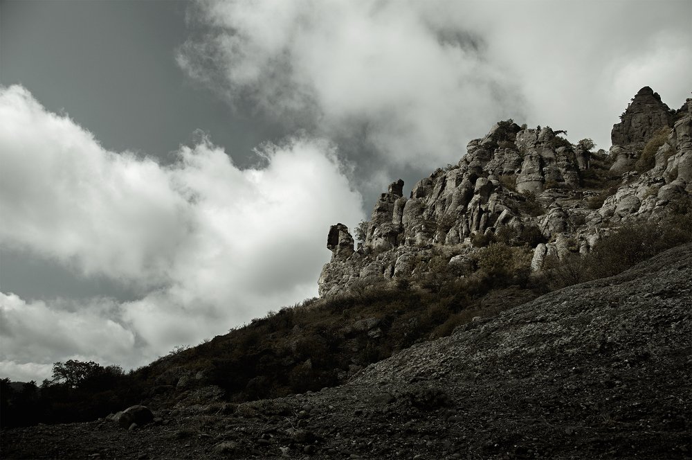 Photograph by Dmitry Borisenko