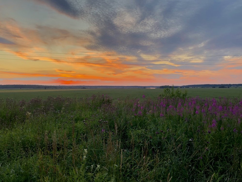 Photograph by Сергей Гончаров